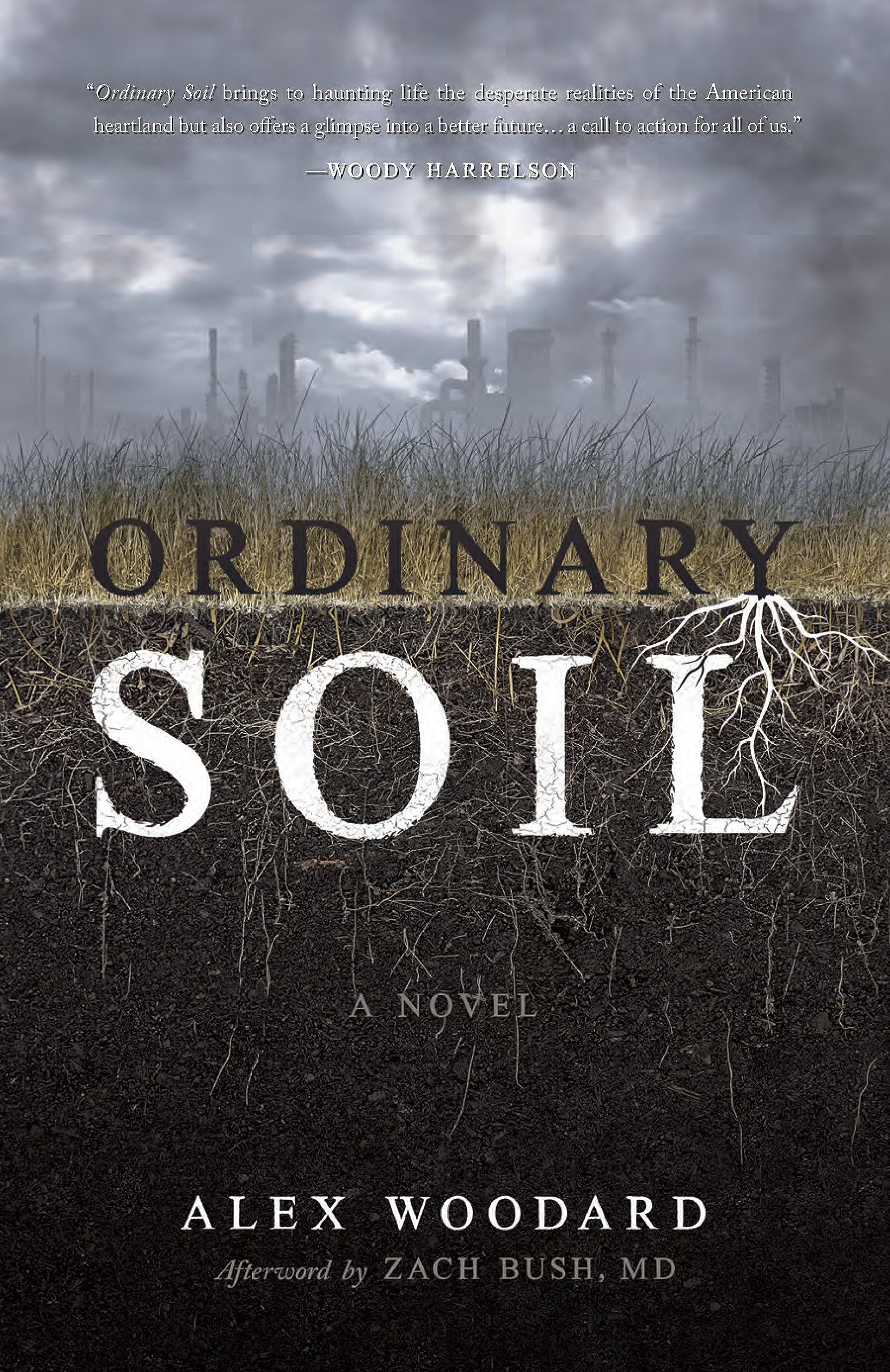 Ordinary Soil (Kindle Edition)