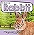 I am a Rabbit: A Children's...