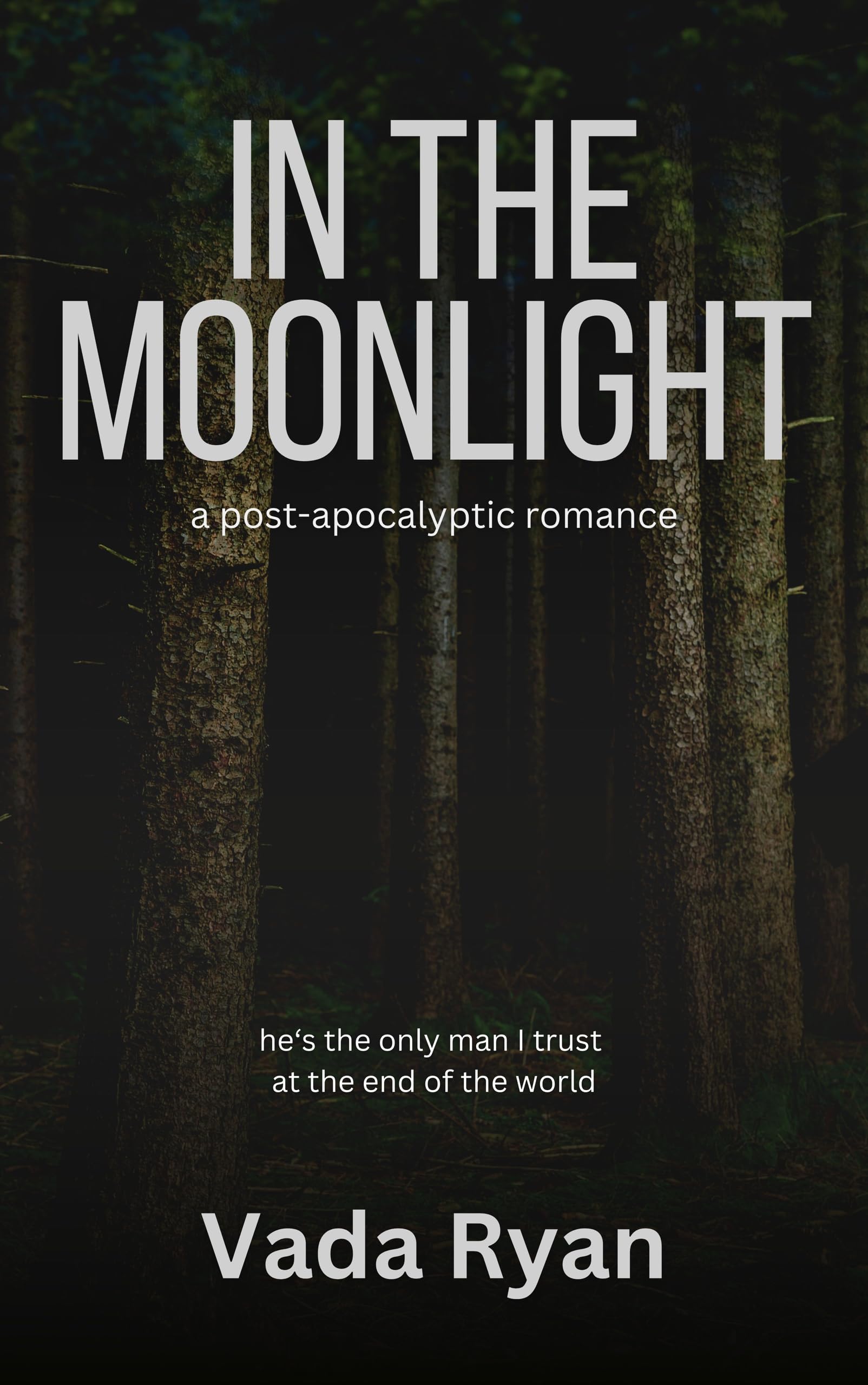 In the Moonlight: A Post-Apocalyptic Romance (In the Ashes Book 2)
