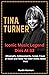 Tina Turner: Iconic Music L...