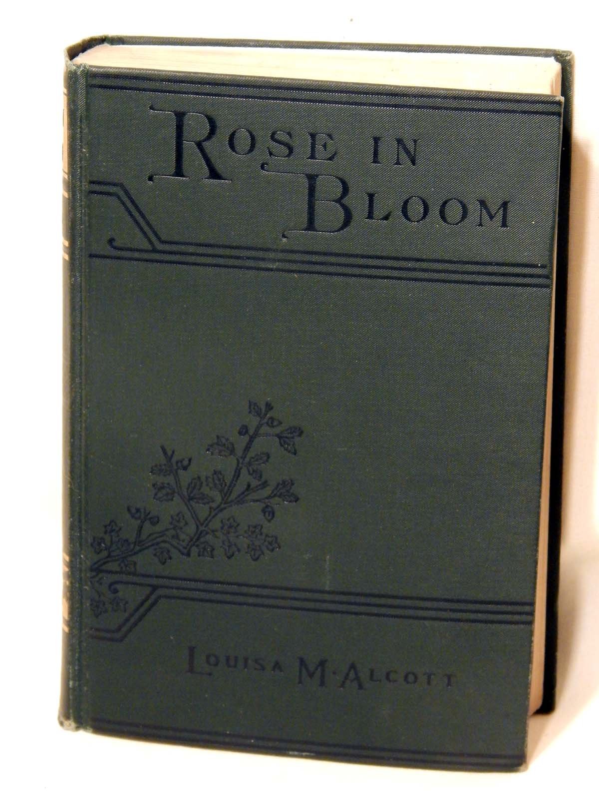 Rose in Bloom, a Sequel to Eight Cousins