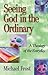 Seeing God in the Ordinary: A Theology of the Everyday