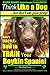 By Mr Paul Allen Pearce Boykin Spaniel, Boykin Spaniel Traini... by Mr Paul Allen Pearce