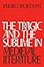 The Tragic and the Sublime in Medieval Literature by Piero Boitani (2010-02-11)