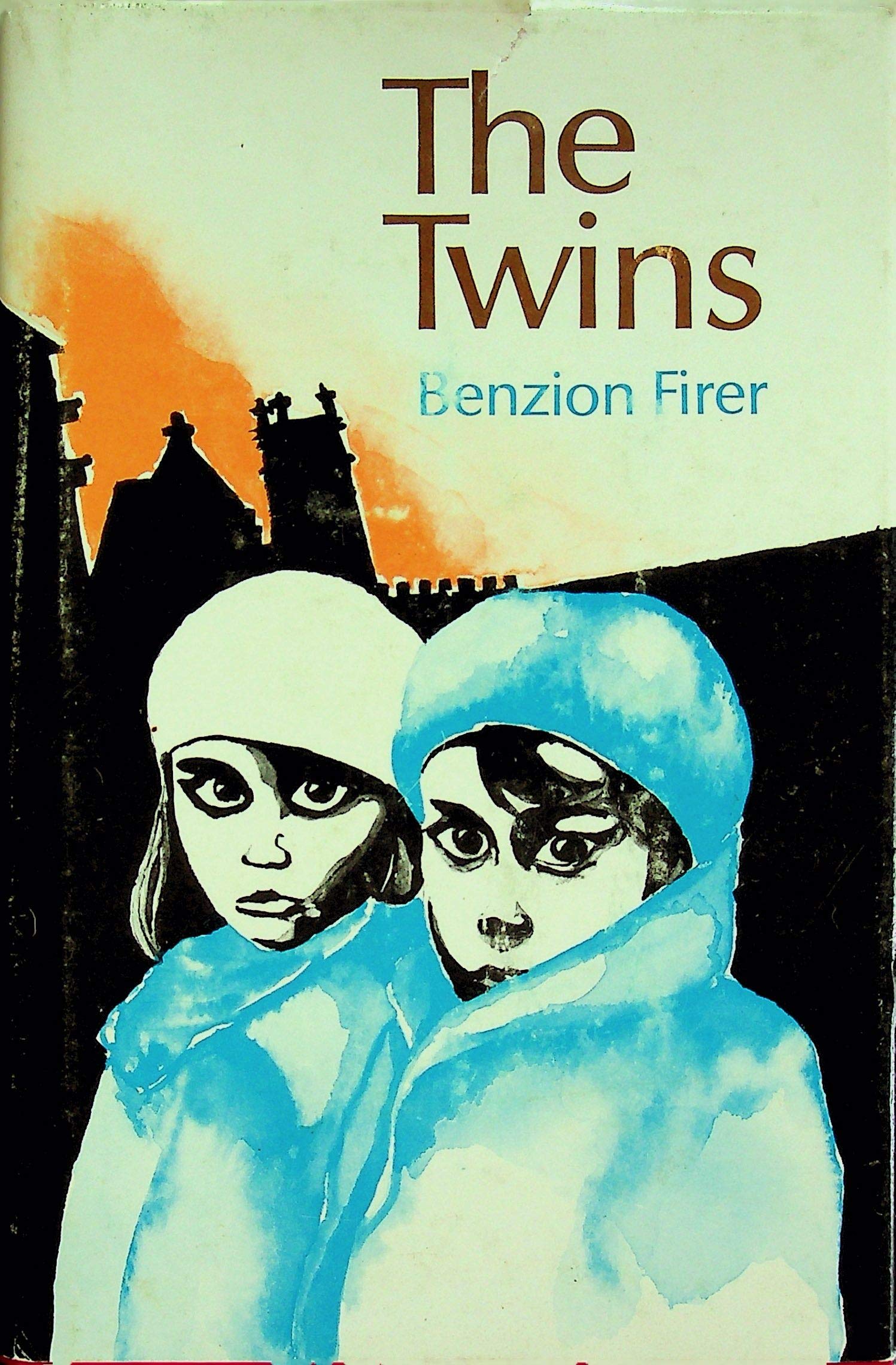 Twins (Hardcover)