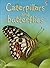 Caterpillars and Butterflies (Beginners)