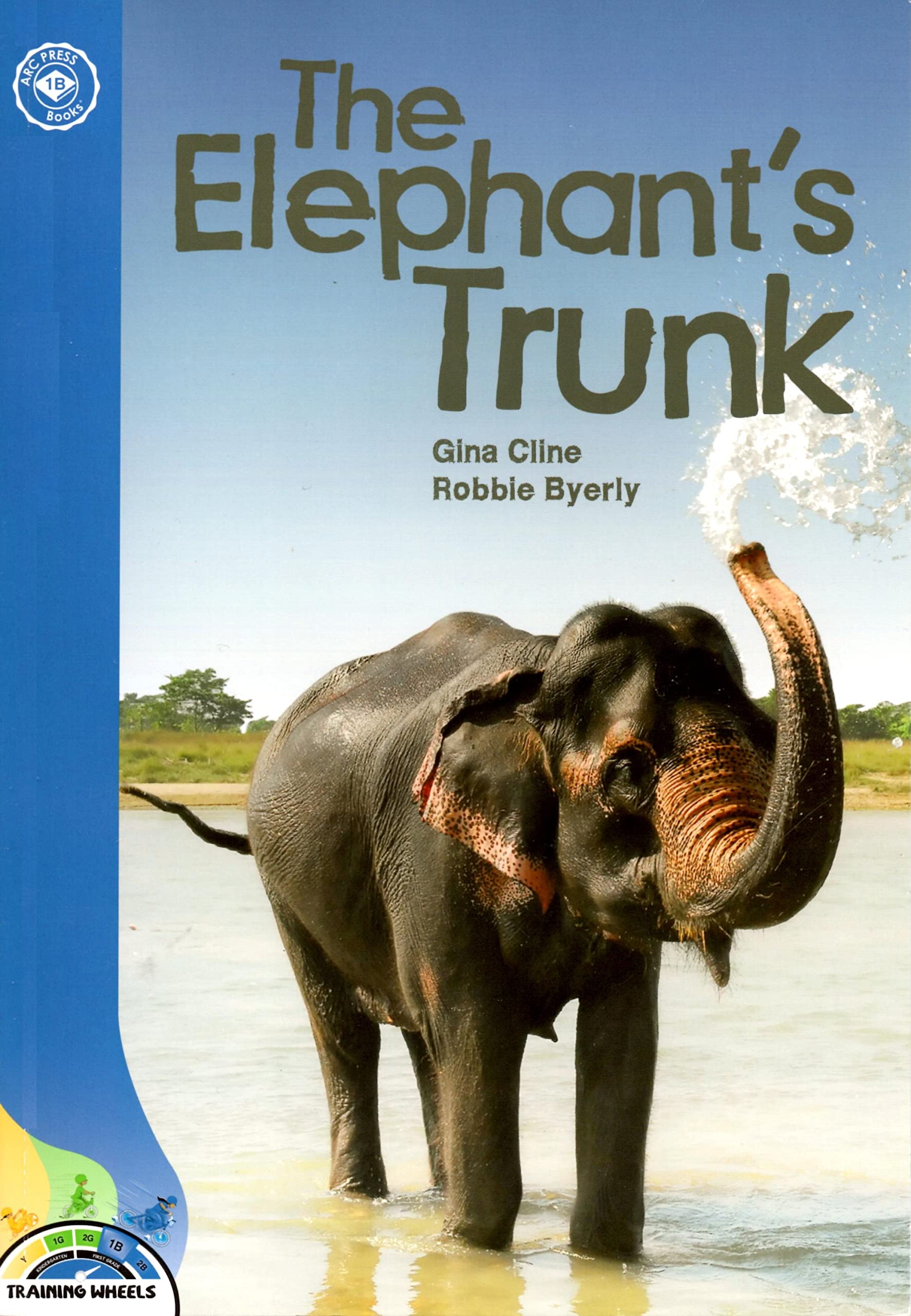 THE ELEPHANT'S TRUNK (Paperback)