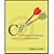 C# Software Solutions - Foundations of Program Design (07) by [Paperback (2006)]