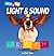 Light & Sound (Check It Out!) by Twist, Clint (2005) Library Binding
