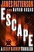 Escape (A Billy Harney Thriller, 3)