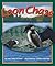 [ Loon Chase Diehl, Jean Heilprin ( Author ) ] { Paperback } 2010