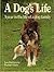 A Dog's Life: A Year in the Life of a Dog Family by Jane Burton (1986-09-03)