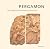 Pergamon: The Telephos Frie...