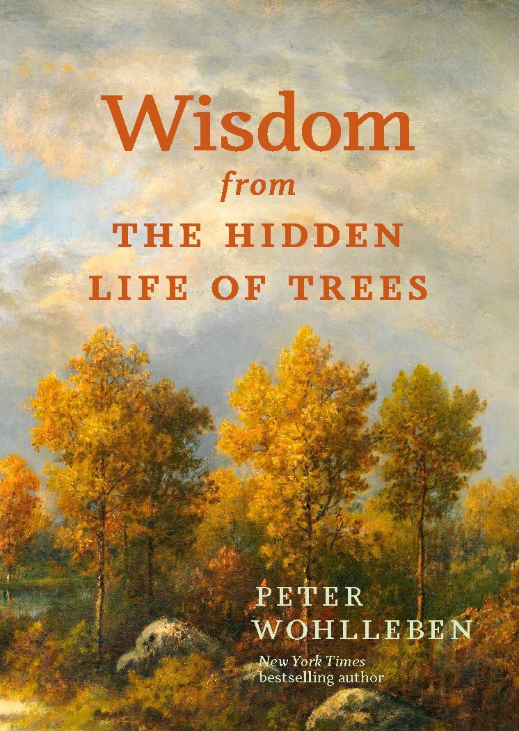 Wisdom From The Hidden Life of Trees (Hardcover)