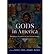 [Gods in America: Religious Pluralism In The United States] [By: x] [August, 2013]