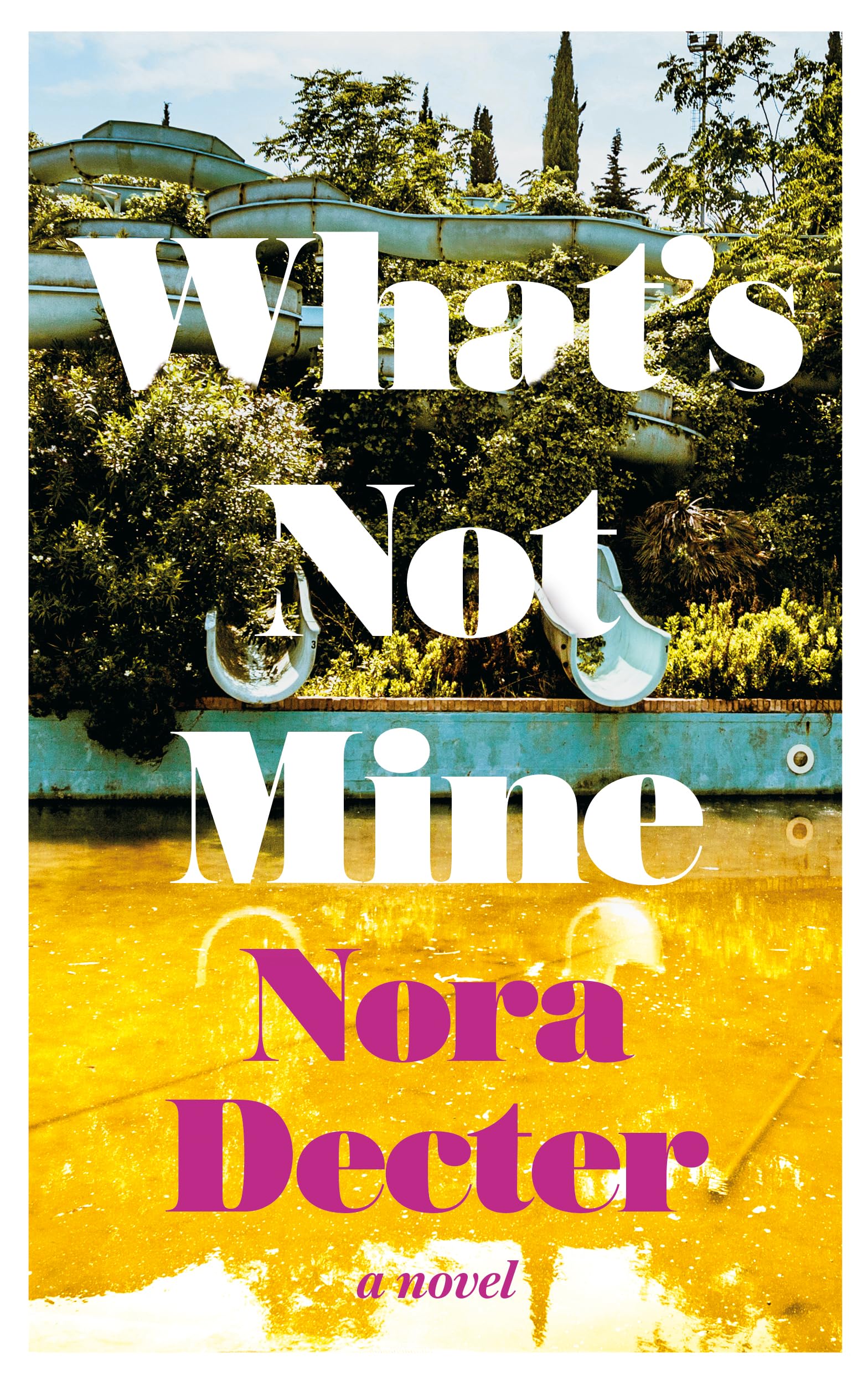 What’s Not Mine (Paperback)