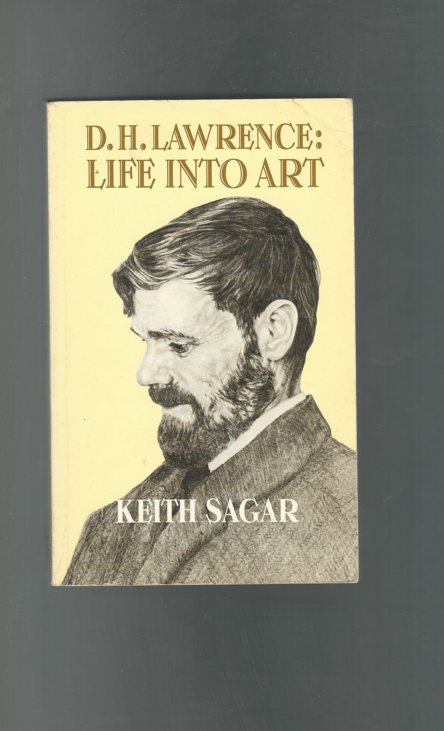 D.H. Lawrence: Life Into Art (Paperback)