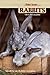 Hobby Farms: Rabbits: Small-Scale Rabbit Keeping by McLaughlin, Chris (2012) Paperback