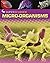 Micro-organisms (Super Science) by Rob Colson (2013-08-08)