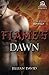 Flame's Dawn: A Hell to Pay Novella by Jillian David (2016-04-01)