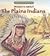 Projects about the Plains Indians (Hands-On History) by Marian Broida (2004-01-01)