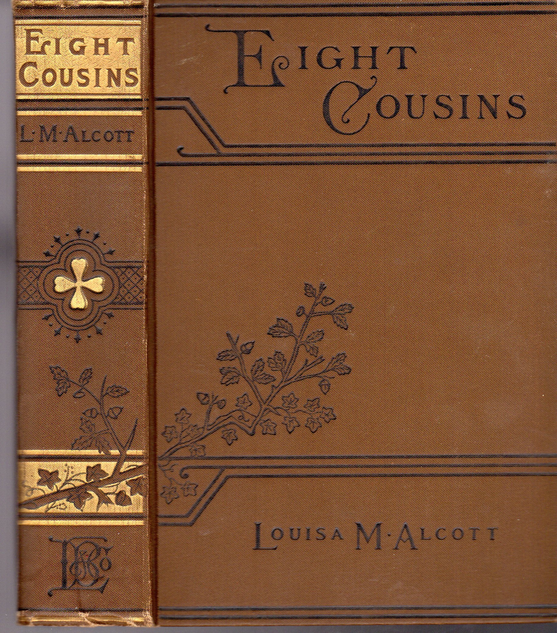 Eight Cousins or ,The Aunt -Hill