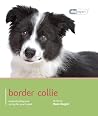 Border Collie - D...