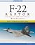 F-22 Raptor: America's Next...