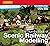 The Hornby Book of Scenic Railway Modelling by Chris Ellis (7-Jun-2010) Paperback