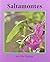 Saltamontes/Katydids (Books for Young Learners Spanish) by Nic Bishop (2001-07-06)