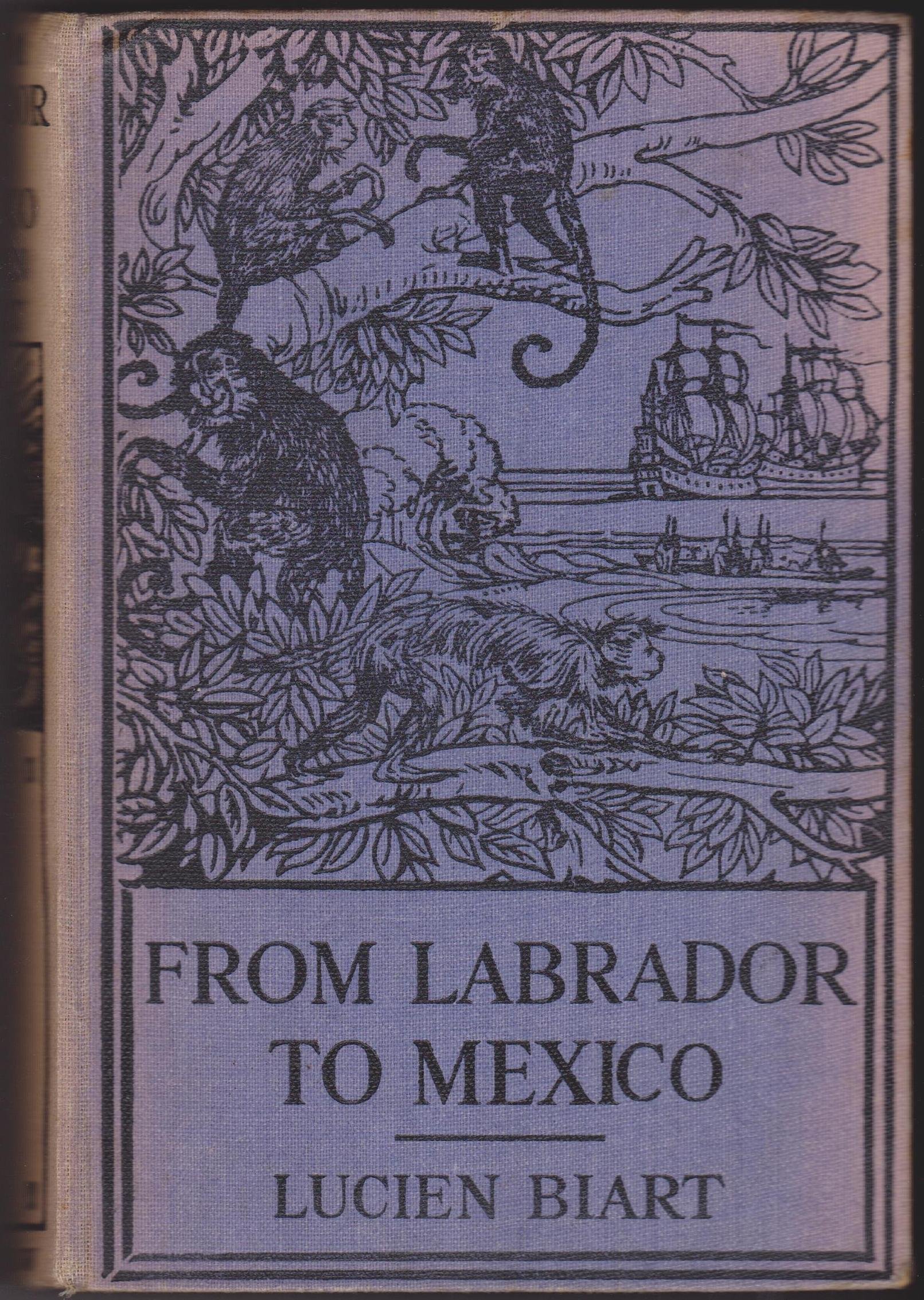 From Labrador to Mexico. My Rambles in the New World (Hardcover)