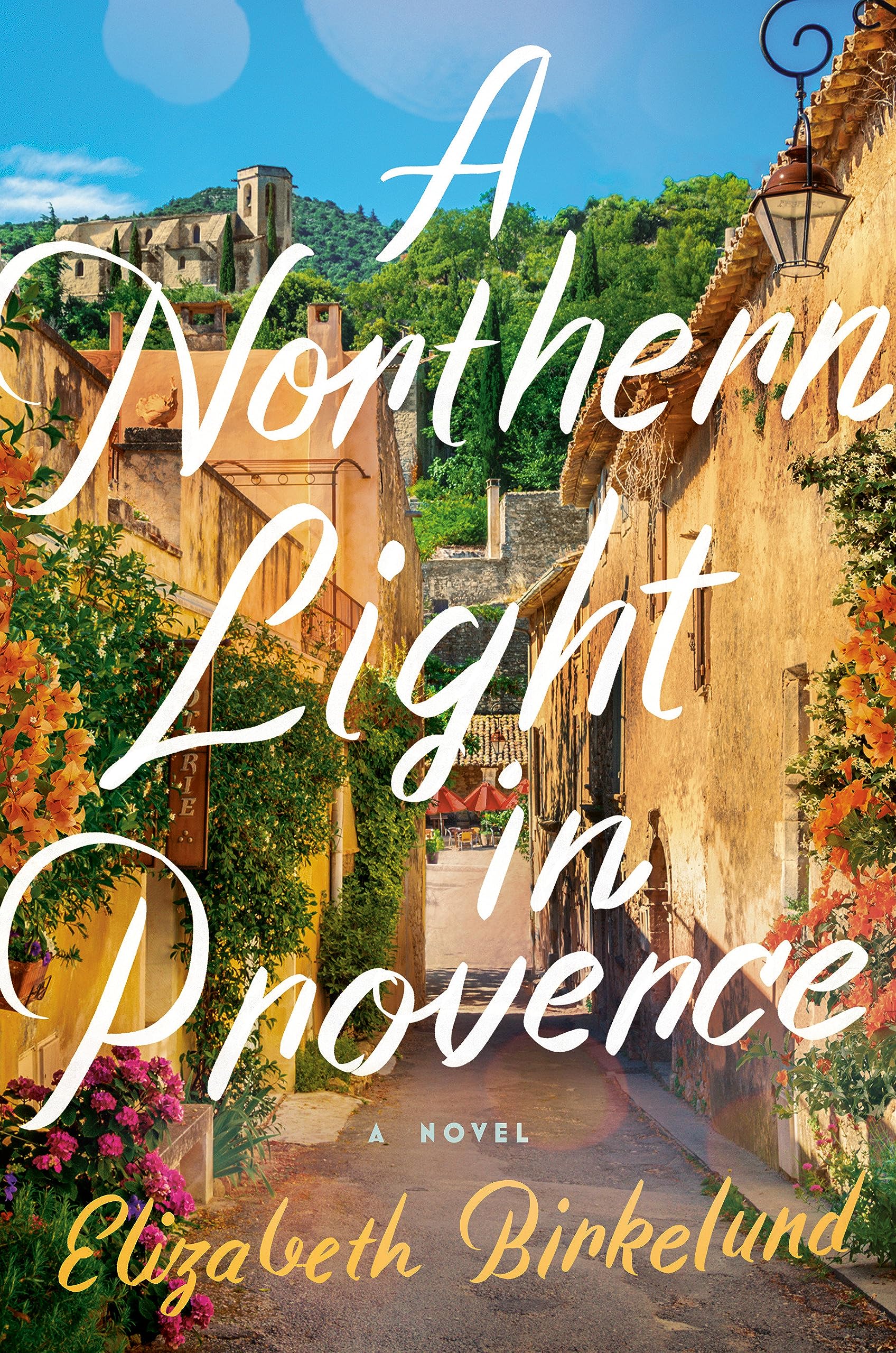A Northern Light in Provence (Hardcover)