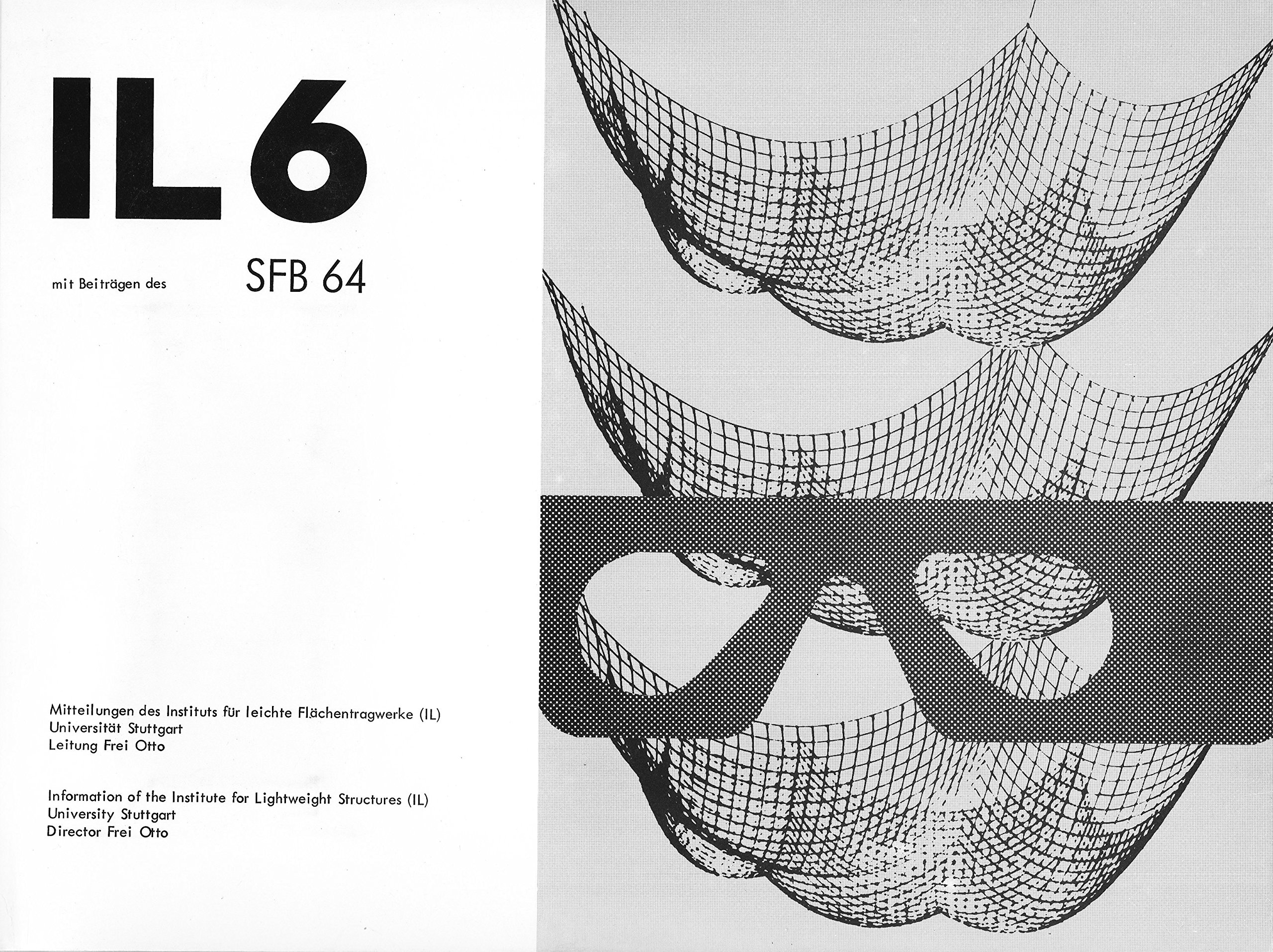 IL 6, Weitgespannte Flächentragwerke (Paperback)