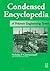 Condensed Encyclopedia of Polymer Engineering Terms by Nicholas P Cheremisinoff Consulting Engineer (2001-05-17)