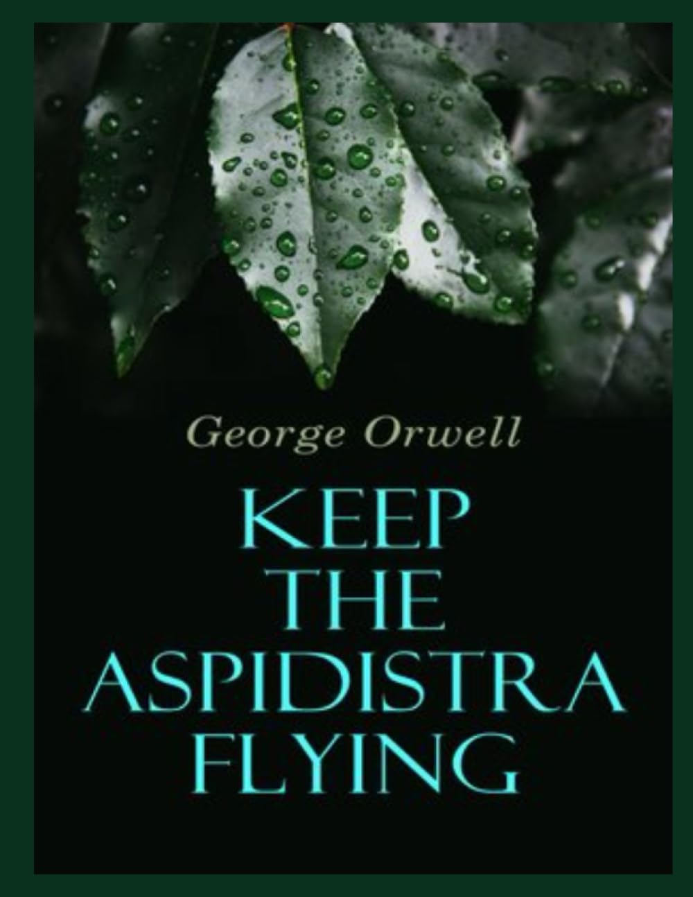 Keep the Aspidistra Flying