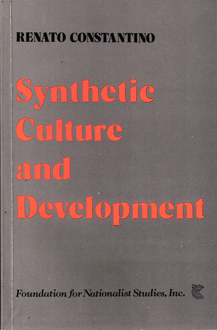 Synthetic Culture and Development (Paperback)