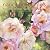 Nancy Tichborne's Watercolo...