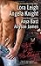 By Lora Leigh Hot for the Holidays (Original) [Mass Market Paperback]