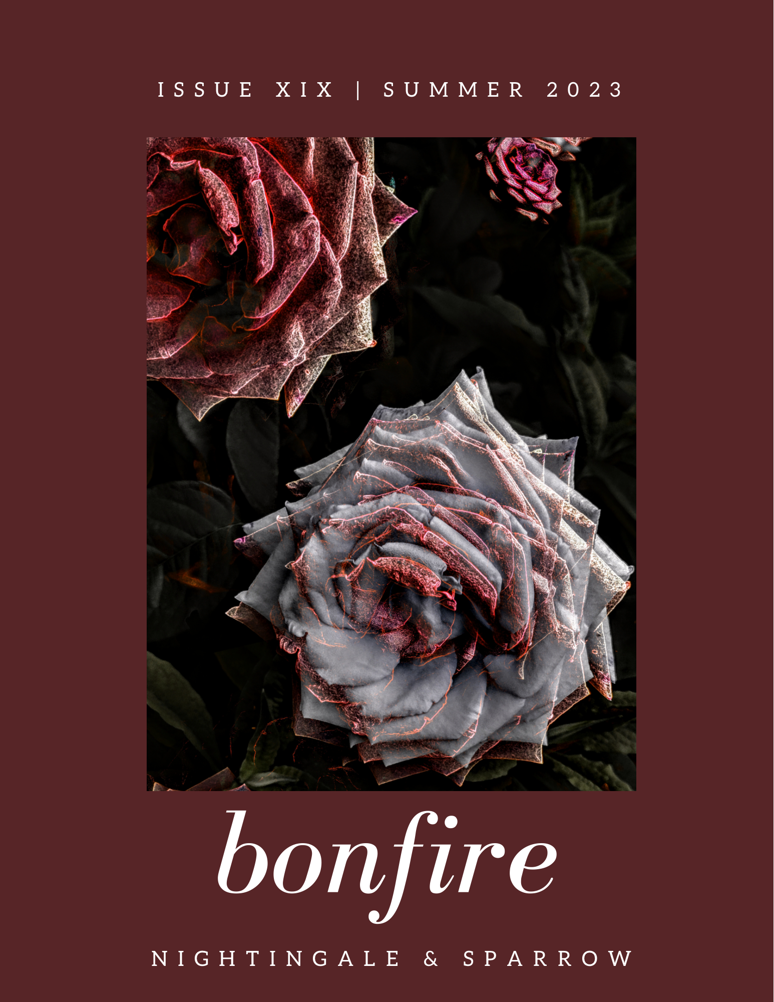 bonfire (Nightingale & Sparrow Literary Magazine, issue no. XIX)