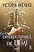 Distrugătorul de lumi (Realm Breaker, #1)