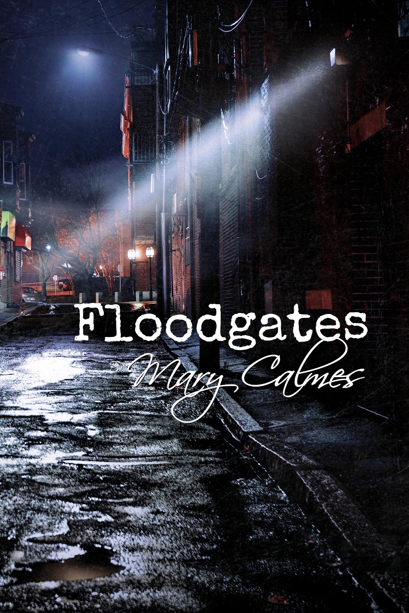 Floodgates (Kindle Edition)