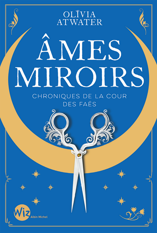 Ames miroirs (Chroniques de la cour des faës, #1)