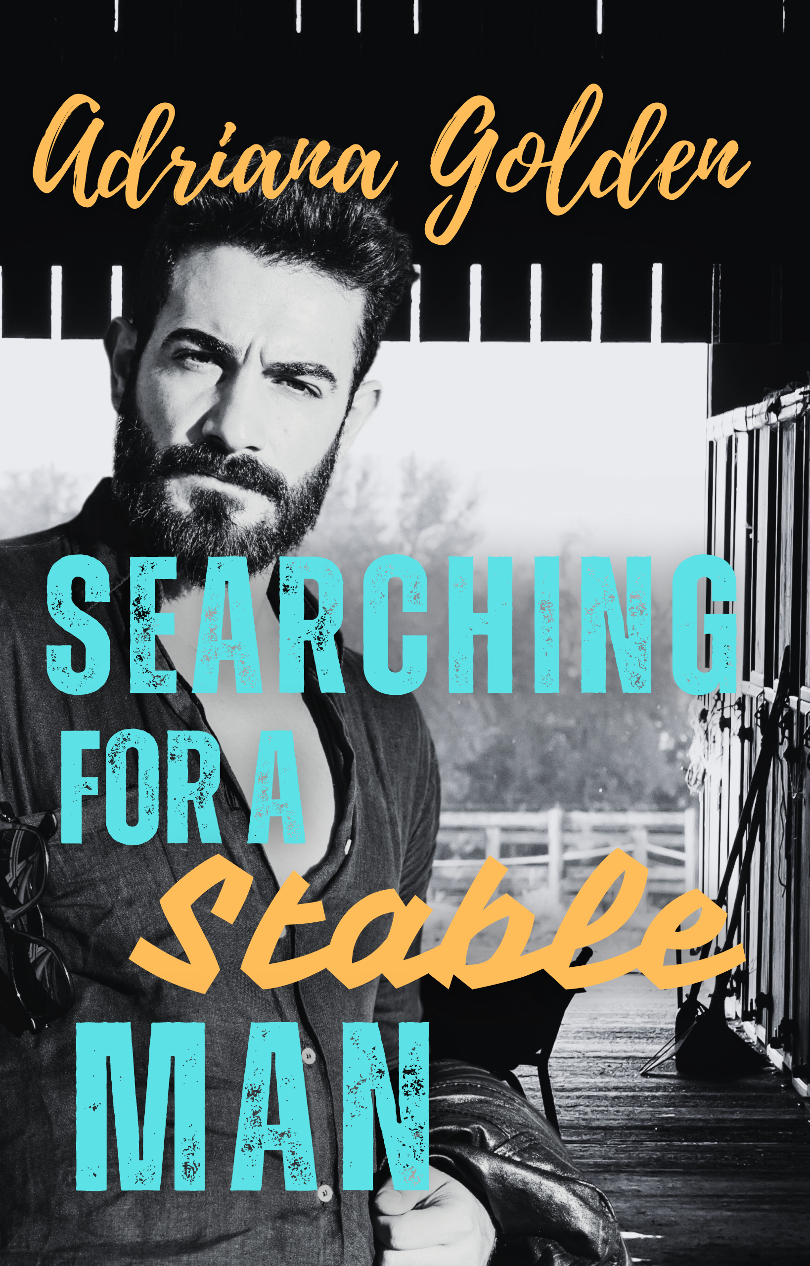 Searching For A Stable Man (Curious #2)