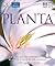 Planta