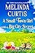 A Small Town Girl with a Big City Secret by Melinda Curtis