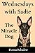 Wednesdays with Sadie by Donna Rebadow