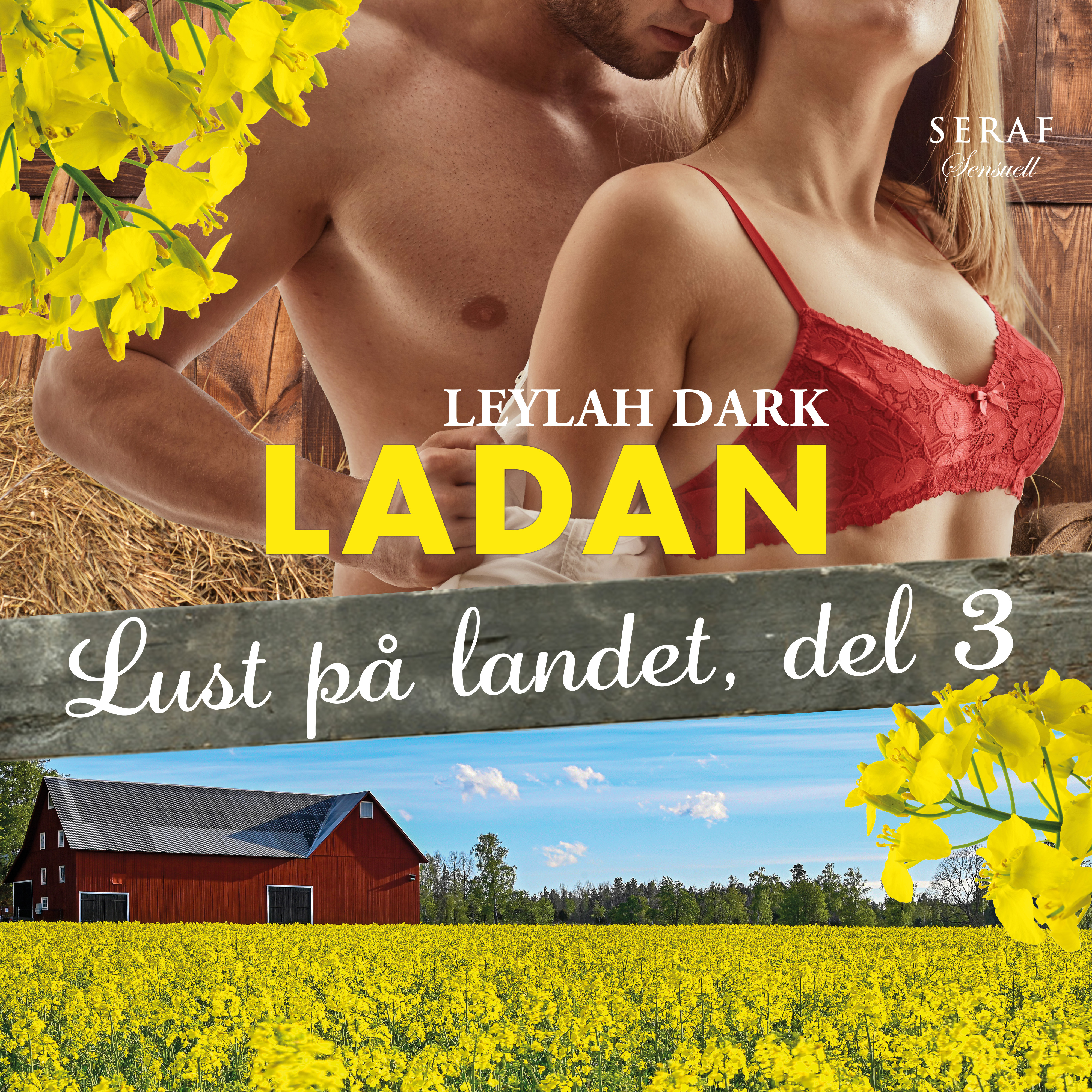 Ladan (Lust på landet, #3)