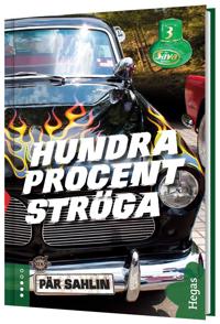 Hundra procent ströga (Säva spinoff, #3)