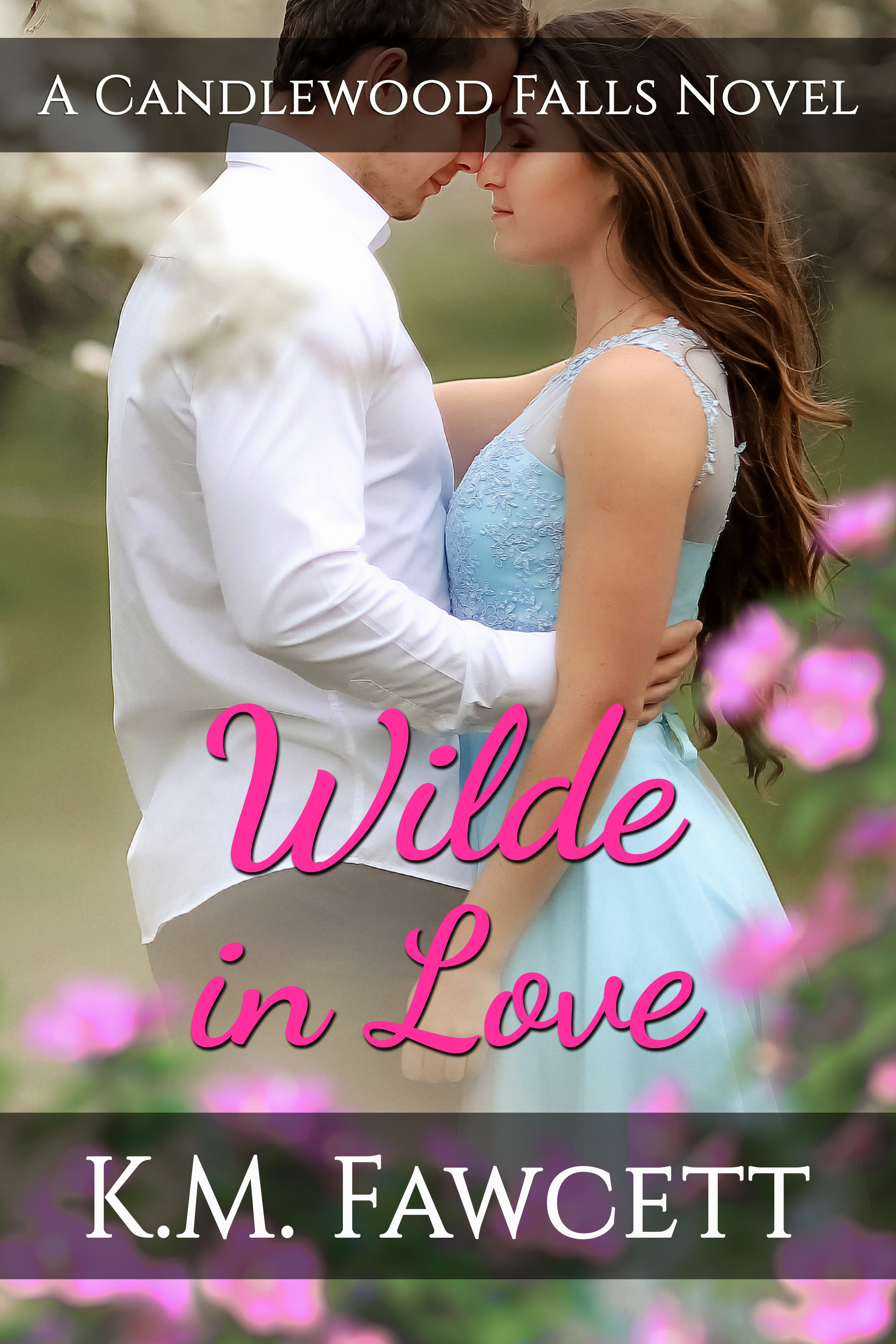 Wilde in Love (Candlewood Falls: Wilde Family, #3)