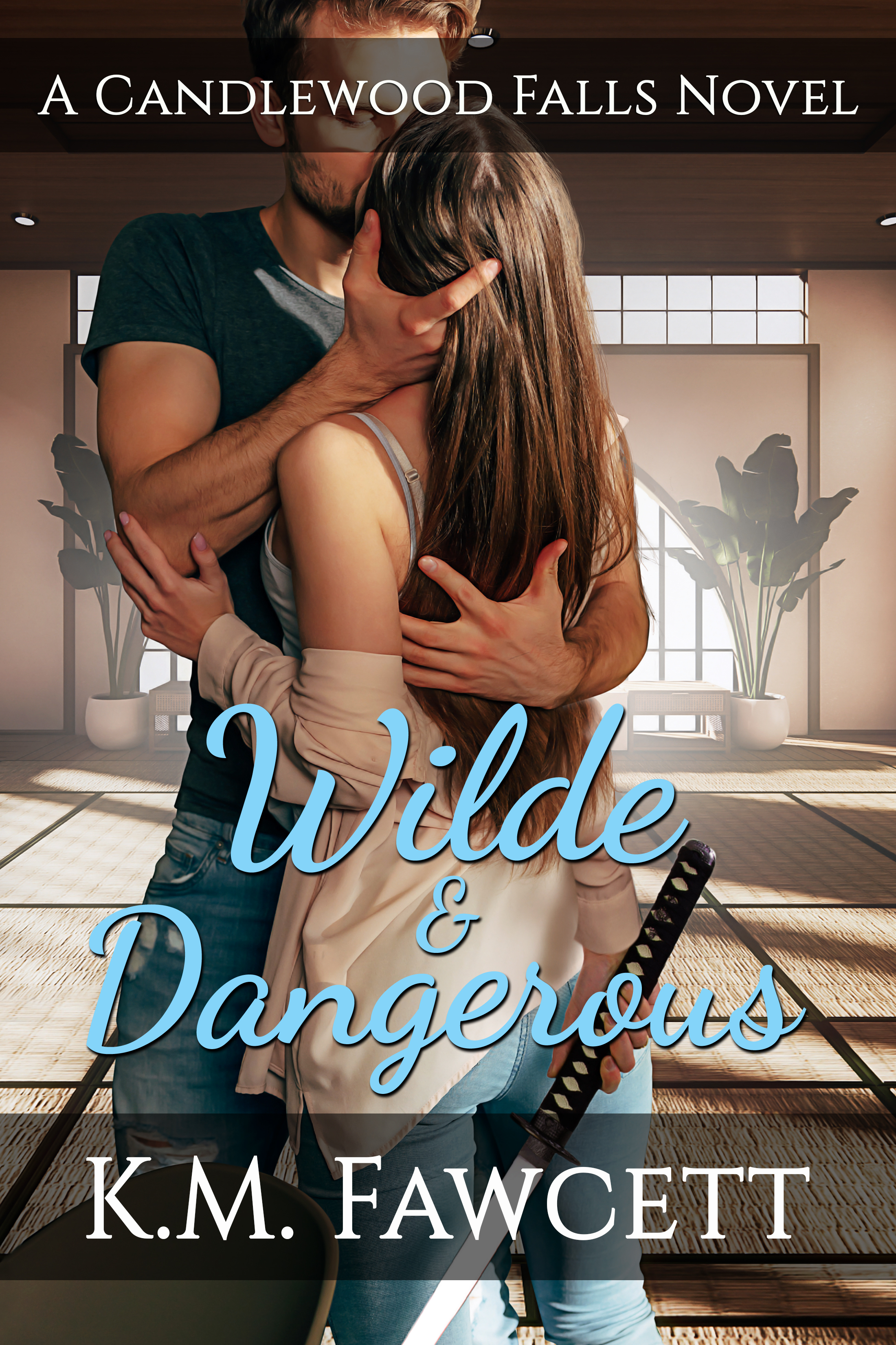 Wilde & Dangerous: (Candlewood Falls: Wilde Family, #5)